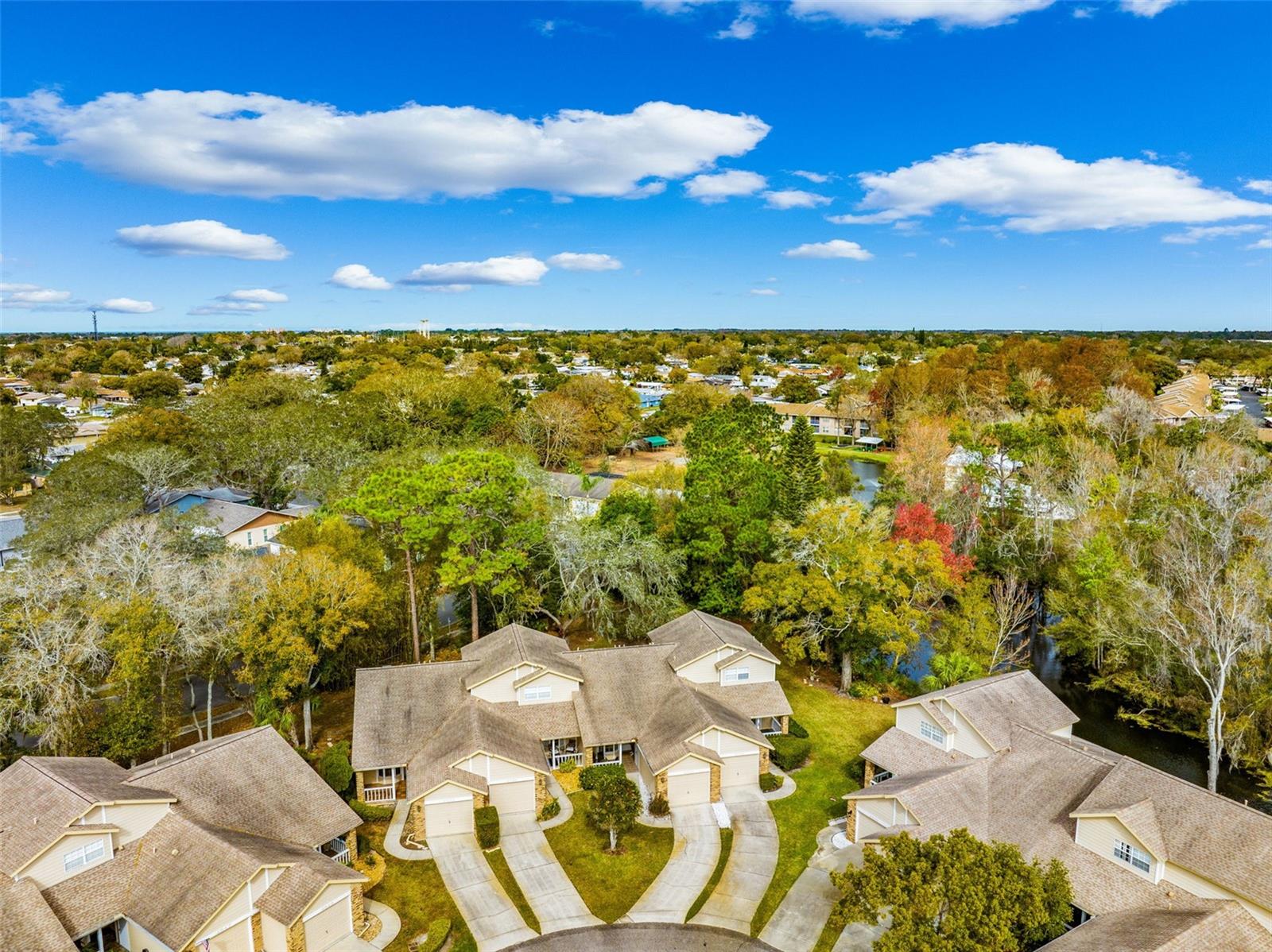 BRIAR PATCH - Residential