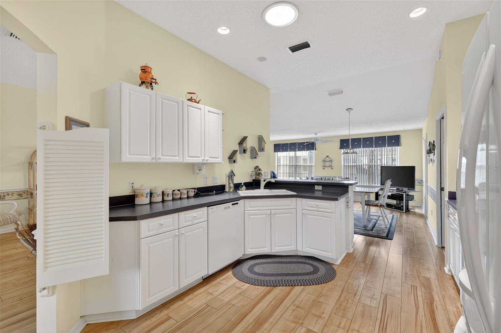 VILLAGES OF SUMTER - Residential