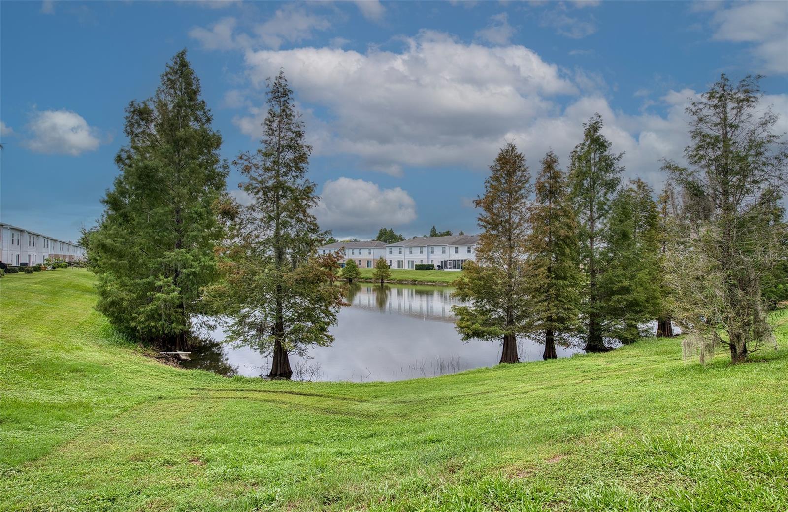 4729 ASHBURN POND WAY