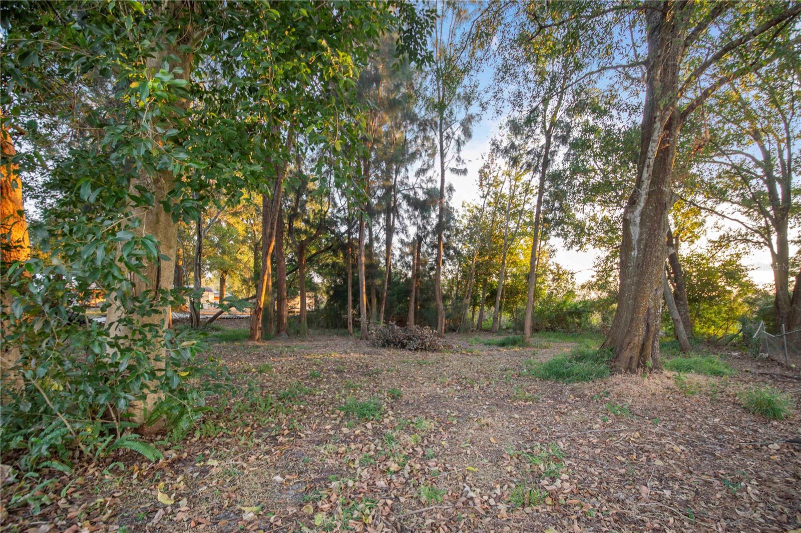 NOT IN SUBDIVISION - Residential