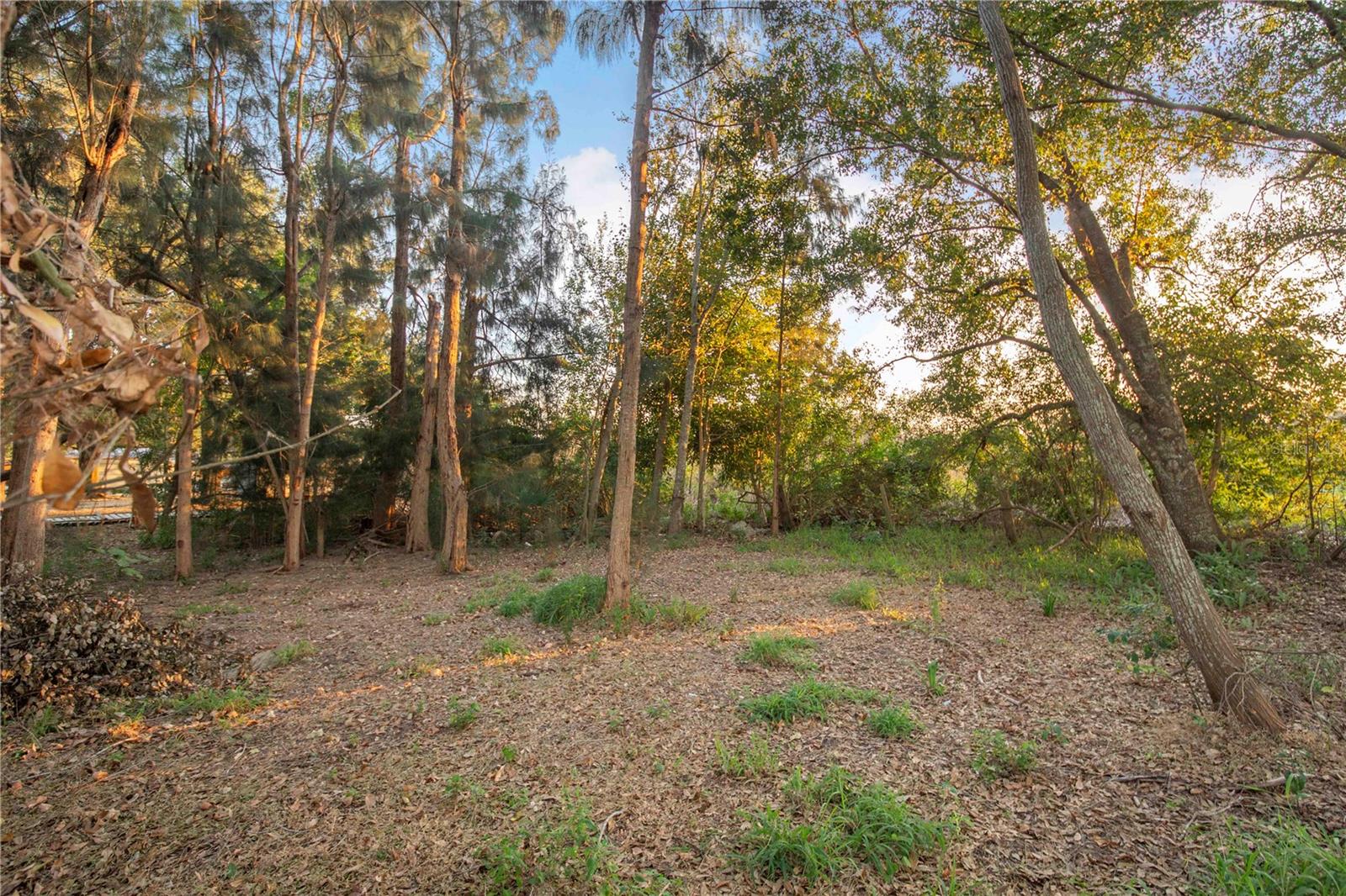 NOT IN SUBDIVISION - Residential