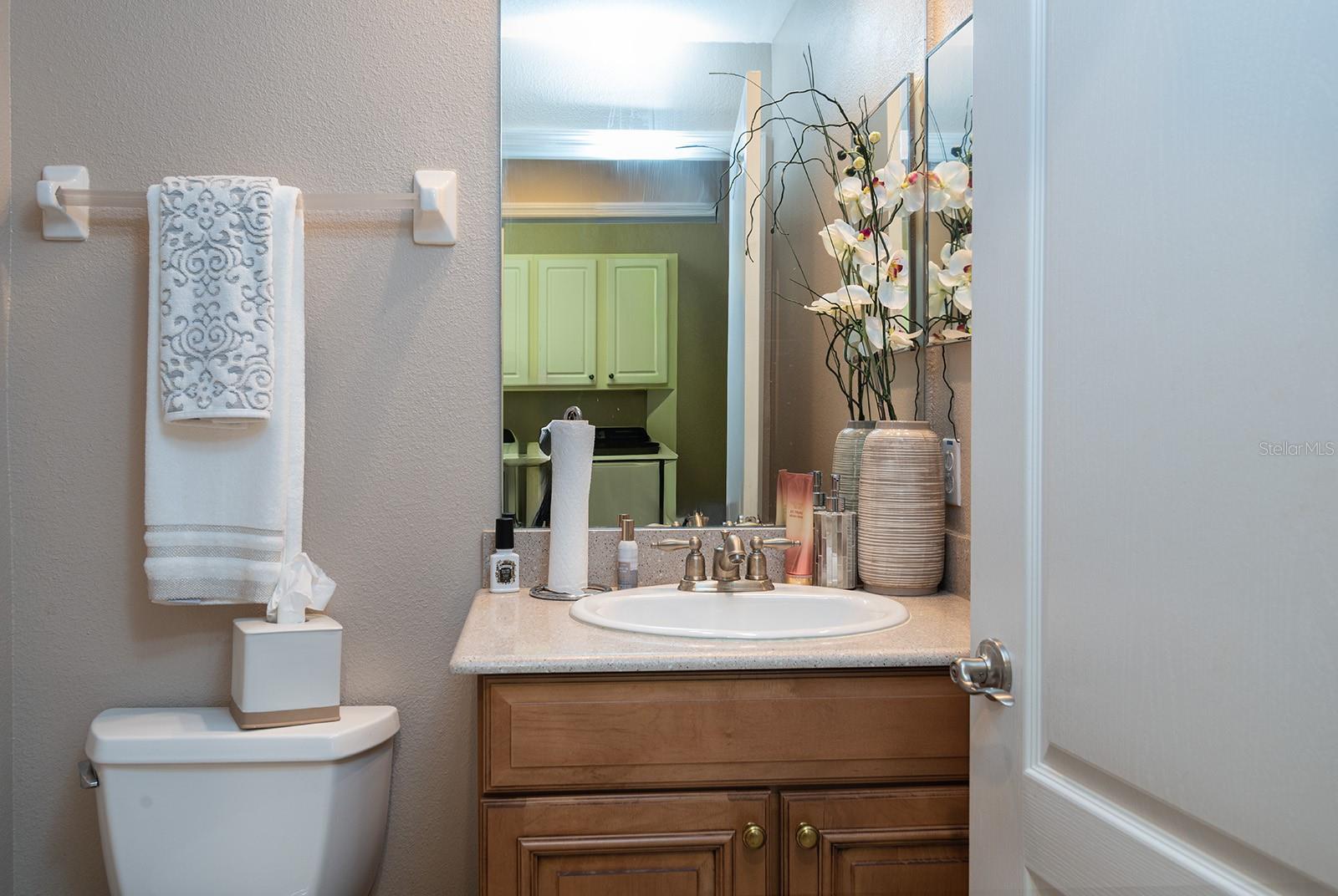 FOUNTAIN PARKE AT LAKE MARY - Residential