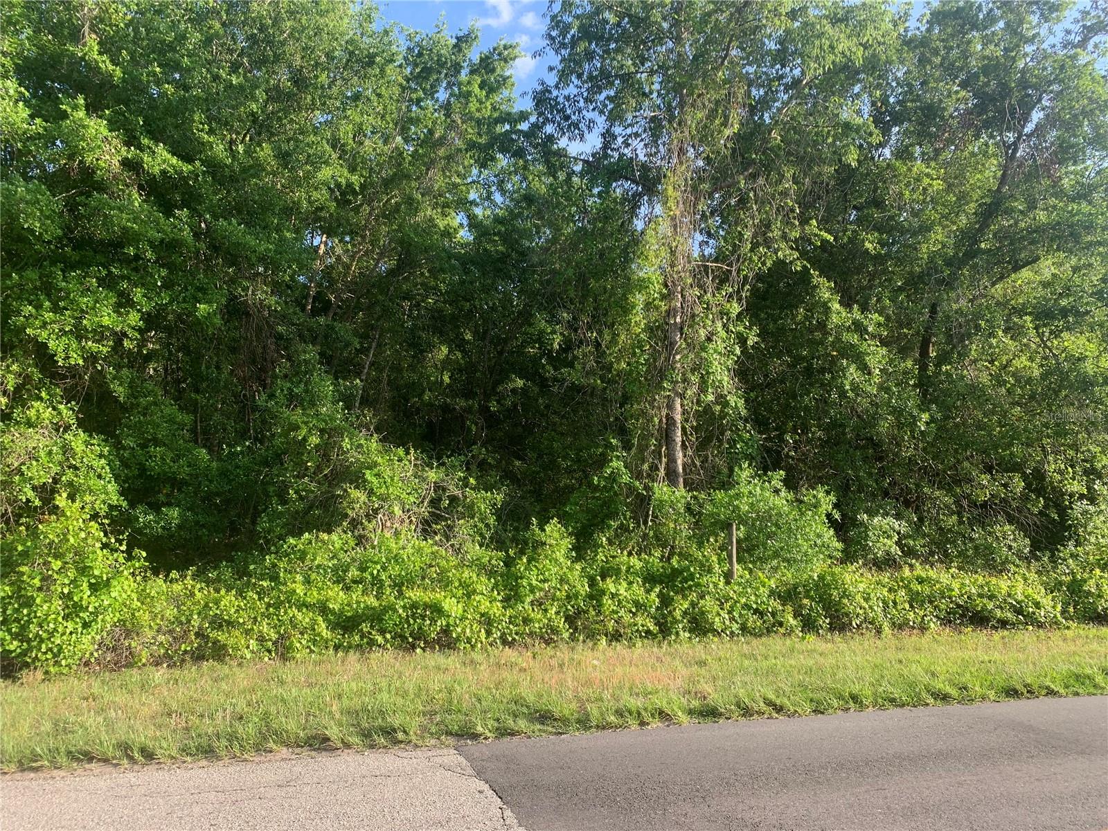 LARGE PRICE DECREASE....Beautiful 5-Acre Wooded Lot on Empire Church Road – The Perfect Setting for Your Dream Home!
Discover nearly 5 acres of pristine, wooded land in the heart of Groveland, FL! With an impressive 1,154 feet of road frontage, this expansive property offers endless possibilities for your dream home, surrounded by nature yet conveniently close to modern amenities.
Enjoy the peace and privacy of country living while being just 10 miles from Clermont, where you’ll find shopping, dining, and entertainment. Plus, with easy access to the Florida Turnpike, commuting to Orlando and Central Florida’s top attractions is a breeze.
No HOA restrictions—bring your own builder and create the home you’ve always envisioned. Don’t miss this rare opportunity to own a slice of Florida paradise. Schedule a visit today!