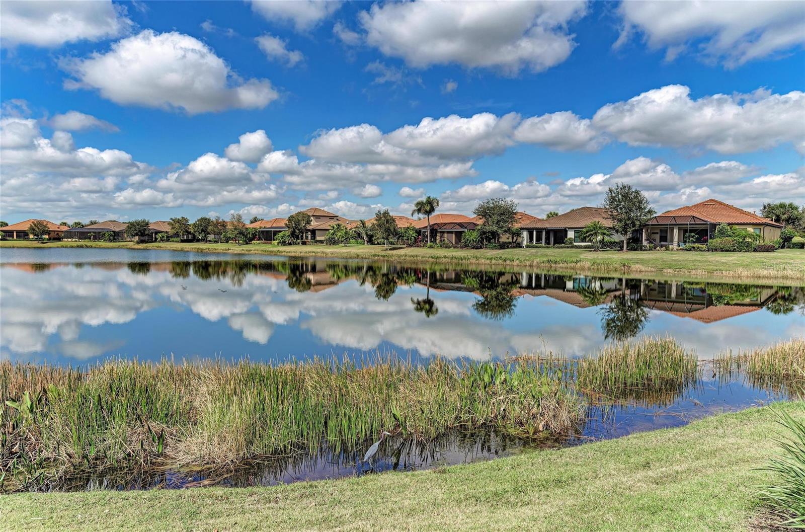 ESPLANADE LAKEWOOD RANCH - Residential