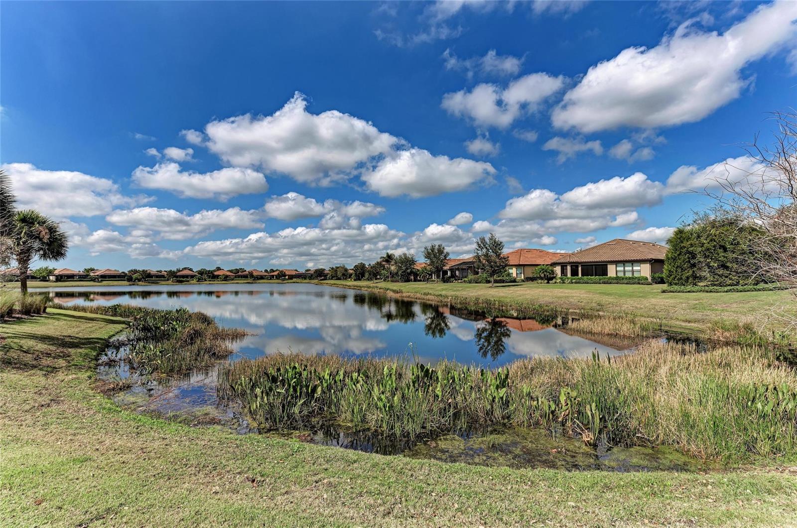 ESPLANADE LAKEWOOD RANCH - Residential