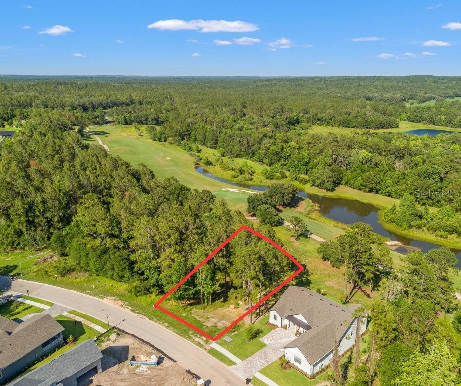 OWNER FINANCING AVAILABLE! Nestled inside one of the top rated Golf Course communities in the state, this fantastic lot sitting directly on the 12th Championship Tee Box is now available! Choose your builder and come build your perfect home on this lot stretching to 1/3 of an acre. Owner has building plans available to share as well. Once your home is built, you will have unobstructed water and golf course views! Across from the course is a conservation so you will never have a backyard neighbor. This course has hosted multiple PGA tours and is locally known for the Valspar Championship Qualifier. The absolutely incredible amenities that Southern Hills has to offer include: A Pete Dye designed Golf Course, a resort style pool, pool bar and restaurant, tennis courts, pickleball courts, a state of the art gym, a driving range, PGA Pro Golf Shop, clubhouse with a full restaurant and bar, and more! Easy access to the Veterans Expressway, I-75, Major hospitals, and just 45 minutes to Tampa International Airport. Come live the luxury golf life in Southern Hills!
