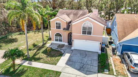 A home in TAMPA