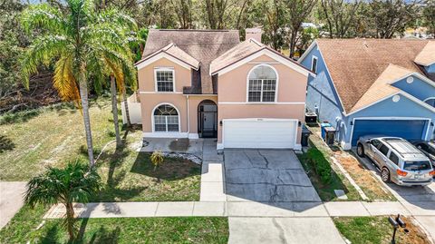 A home in TAMPA