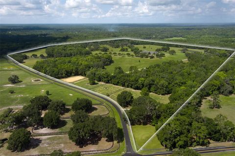 Tiny photo for 9095 NW 200th Street Road, Micanopy, FL 32667 (MLS # OM725656)