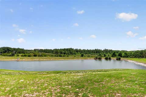 Tiny photo for 16885 Meadows St, Clermont, FL 34714 (MLS # O6413700)