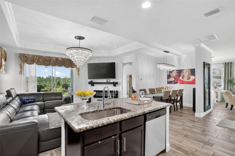 Tiny photo for 16885 Meadows St, Clermont, FL 34714 (MLS # O6413700)