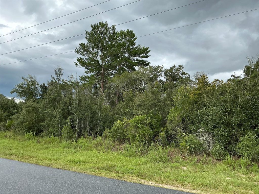 Photo of 0 SW 110th Street, Ocala, FL 34476 (MLS # OM710797)