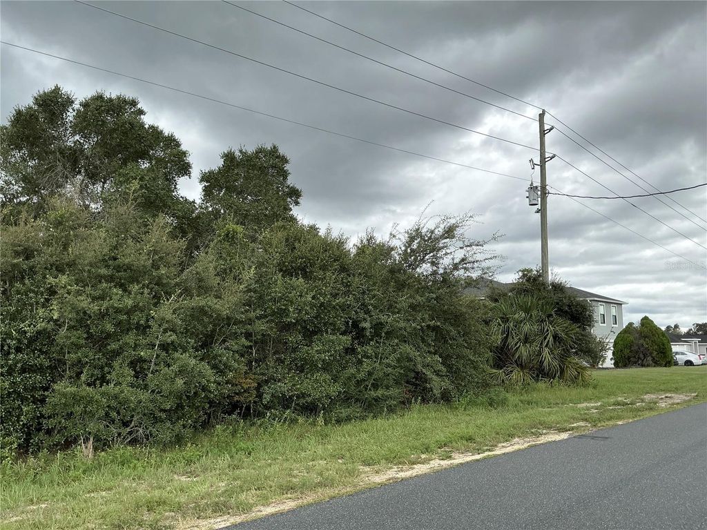 Photo of 0 SW 110th Street, Ocala, FL 34476 (MLS # OM710797)