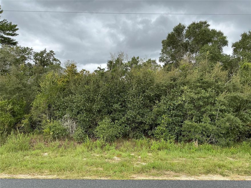 Situated in the heart of Ocala Waterway, this residential lot measures 165 by 125 feet, located outside the flood zone, with no wetlands or endangered species, and water available. Great Lot for Development! Homes All Around.  Nice Lot to build your dream Home close to the Villages with no HOA!!  If you're looking for a relatively peaceful place to live, Summerfield is worth considering.  Close to shopping and restaurants in The Villages, Belleview and Ocala. There are quite a few homes nearby, so you will not fell   Summerfield is also home to Harbour View Elementary School and Lake Weir Middle School. he Villages Mulberry Shopping Plaza where there is a Publix, resturaunts, medical offices, convenience store and VA Clinic just minutes from The Villages. Call today to schedule your private showing!