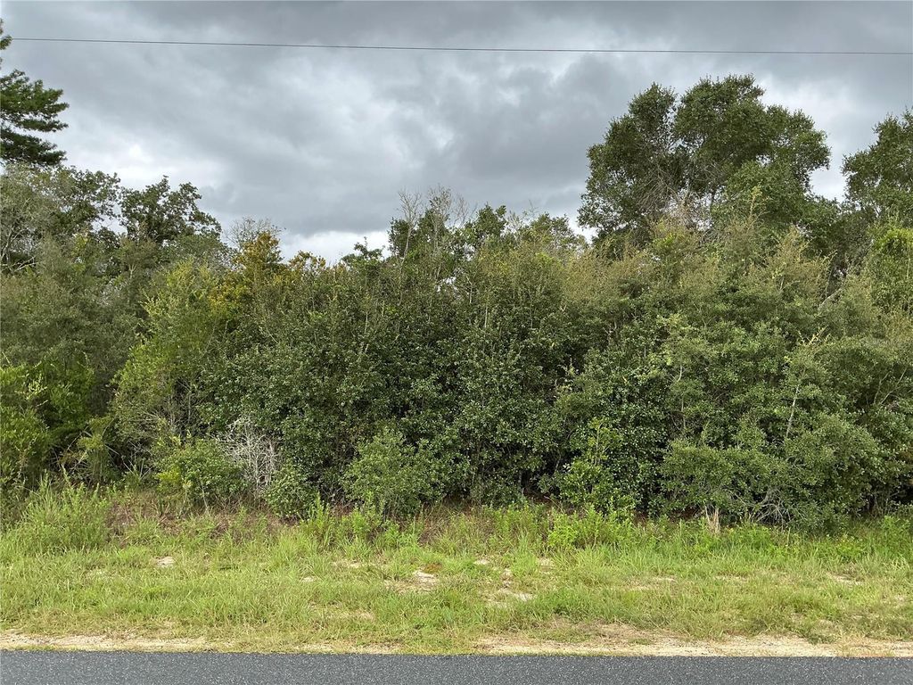 Photo of 0 SW 110th Street, Ocala, FL 34476 (MLS # OM710797)
