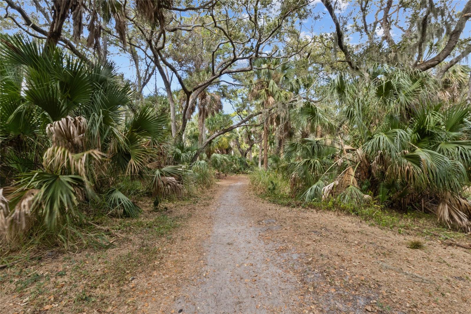 MADISON PARK - Residential