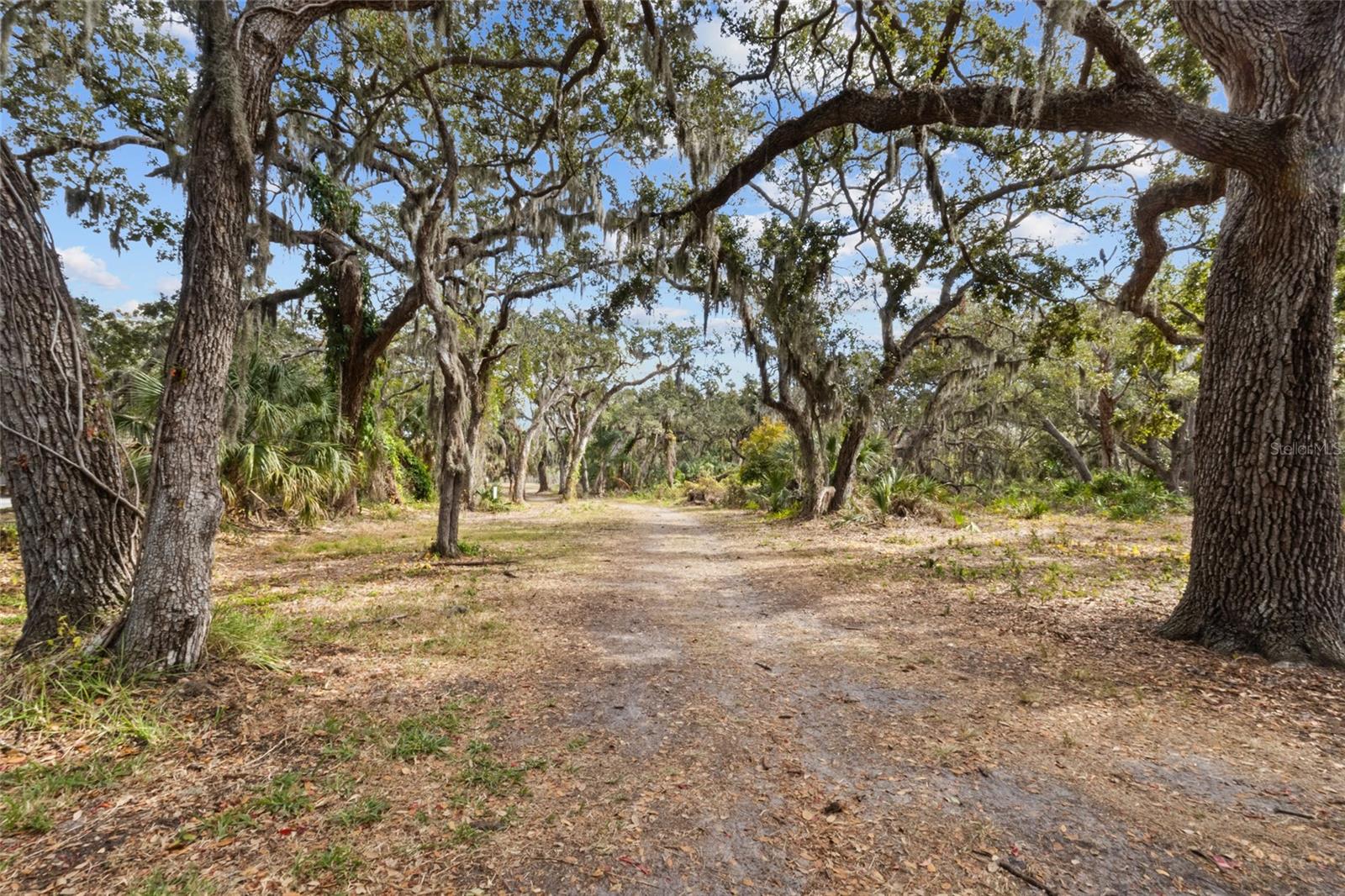 MADISON PARK - Residential