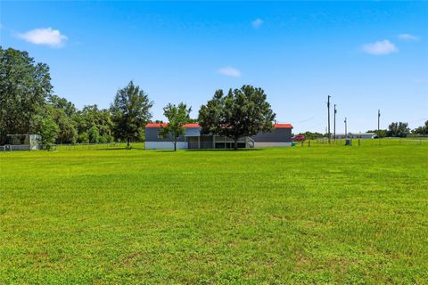 Photo of 7930 Froggy Lane, Zephyrhills, FL 33540 (MLS # TB8529670)