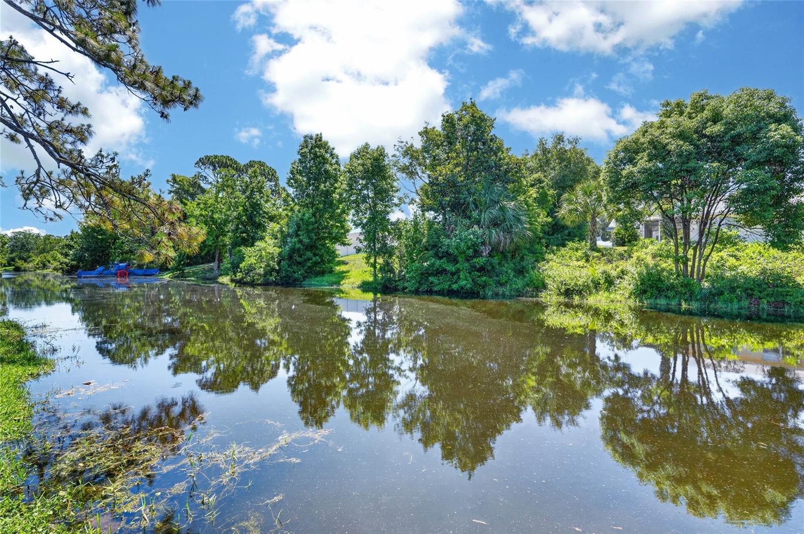 PALM HARBOR - Residential