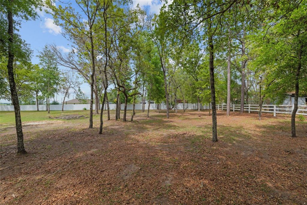 listing image 59