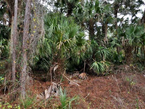 Featured picture for the property TB8366965