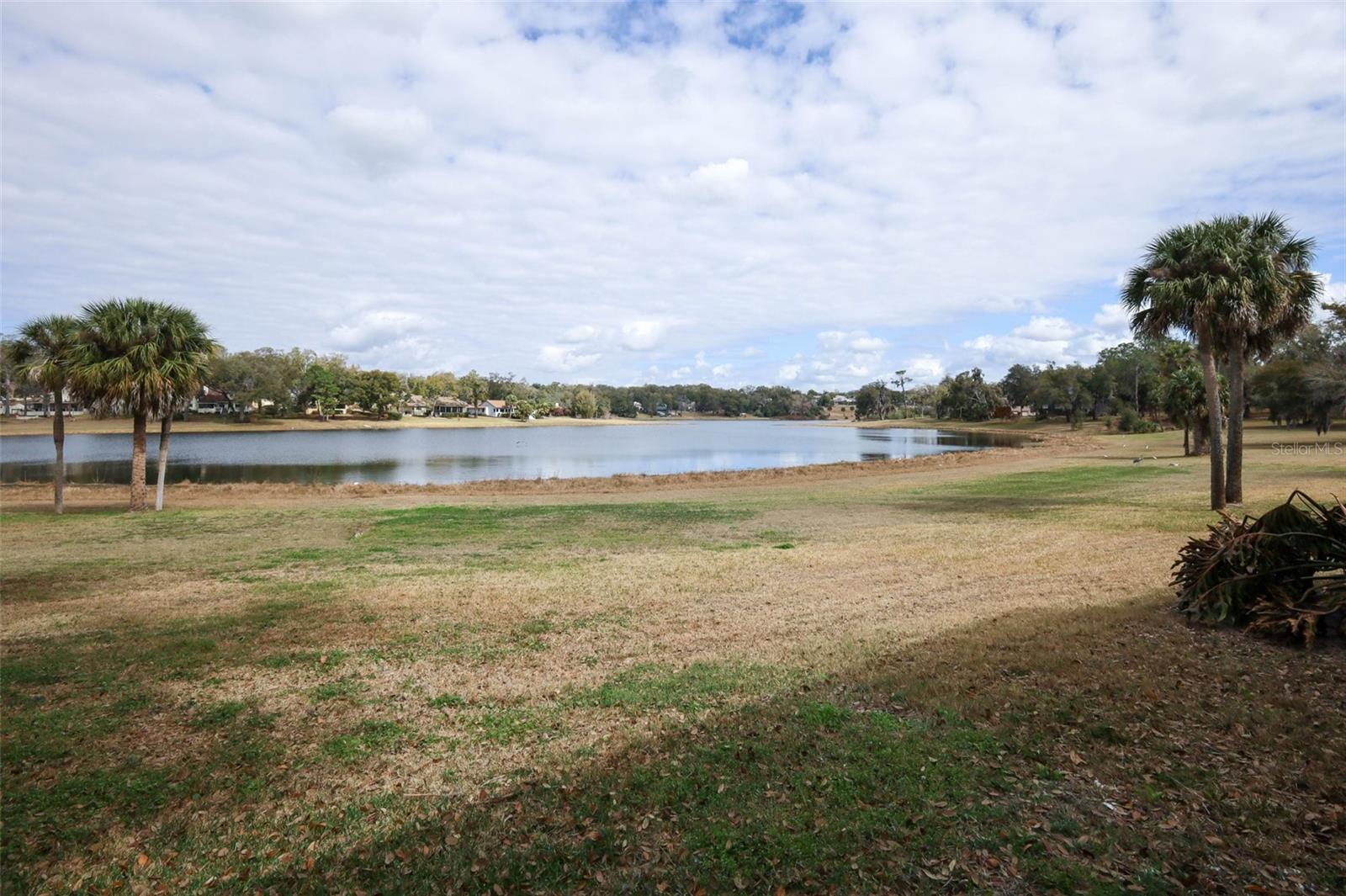 LAKE FRANCIS VILLAGE CONDO 01 - Residential