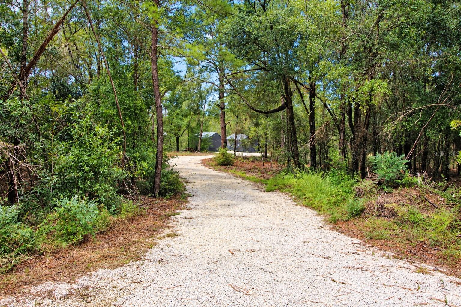 419 LILY TRAIL