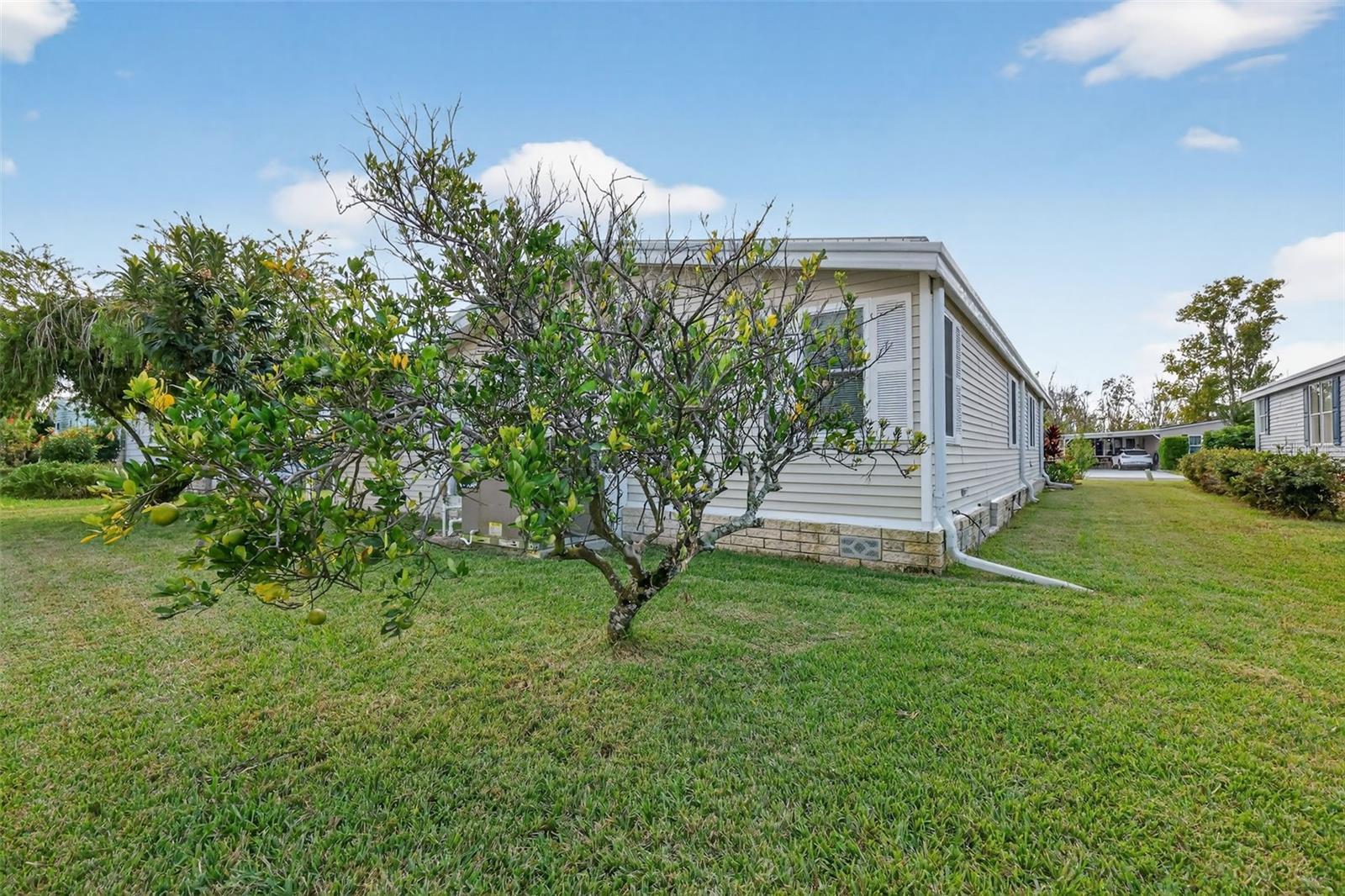 TAVARES FOX RUN MOBILE HOME - Residential