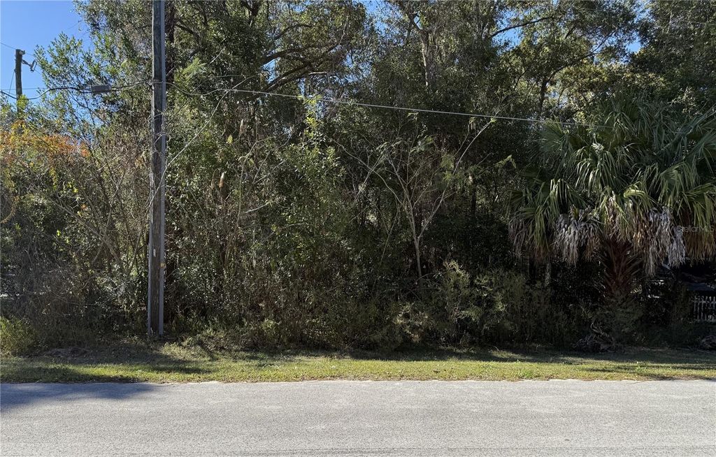 Photo of Tbd SW 78th Street, Ocala, FL 34476 (MLS # OM713425)