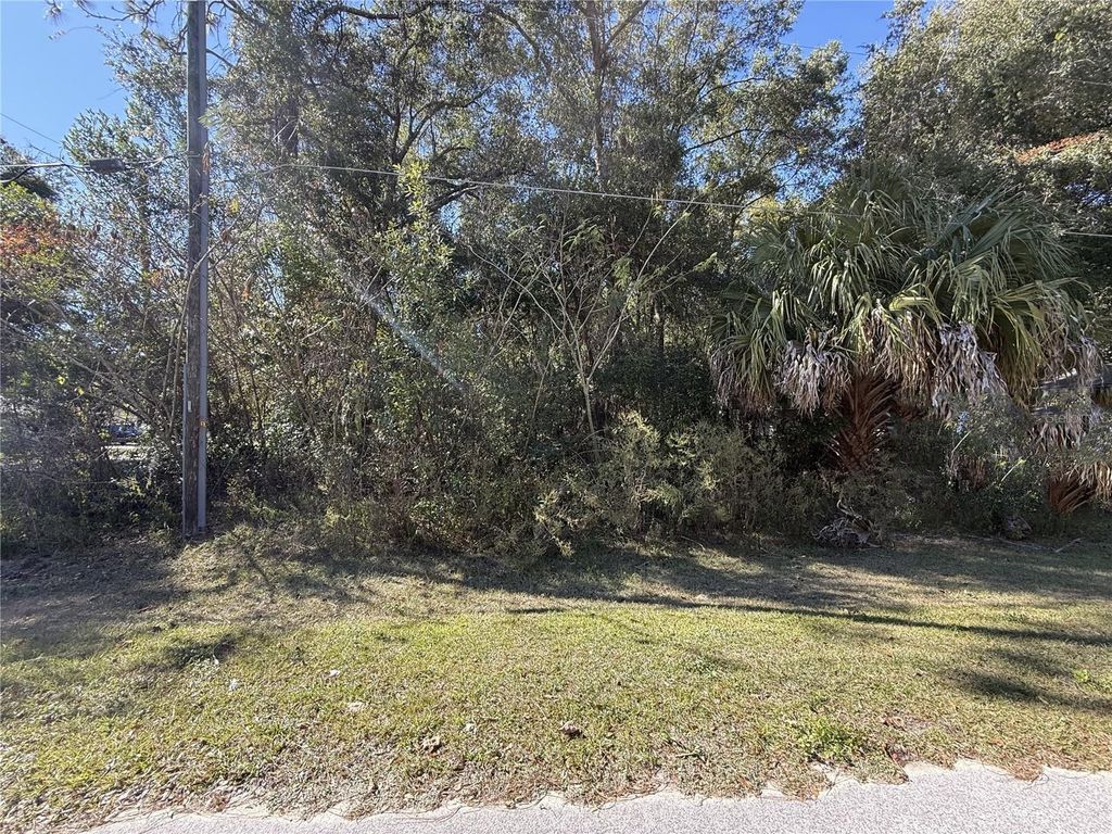 Photo of Tbd SW 78th Street, Ocala, FL 34476 (MLS # OM713425)