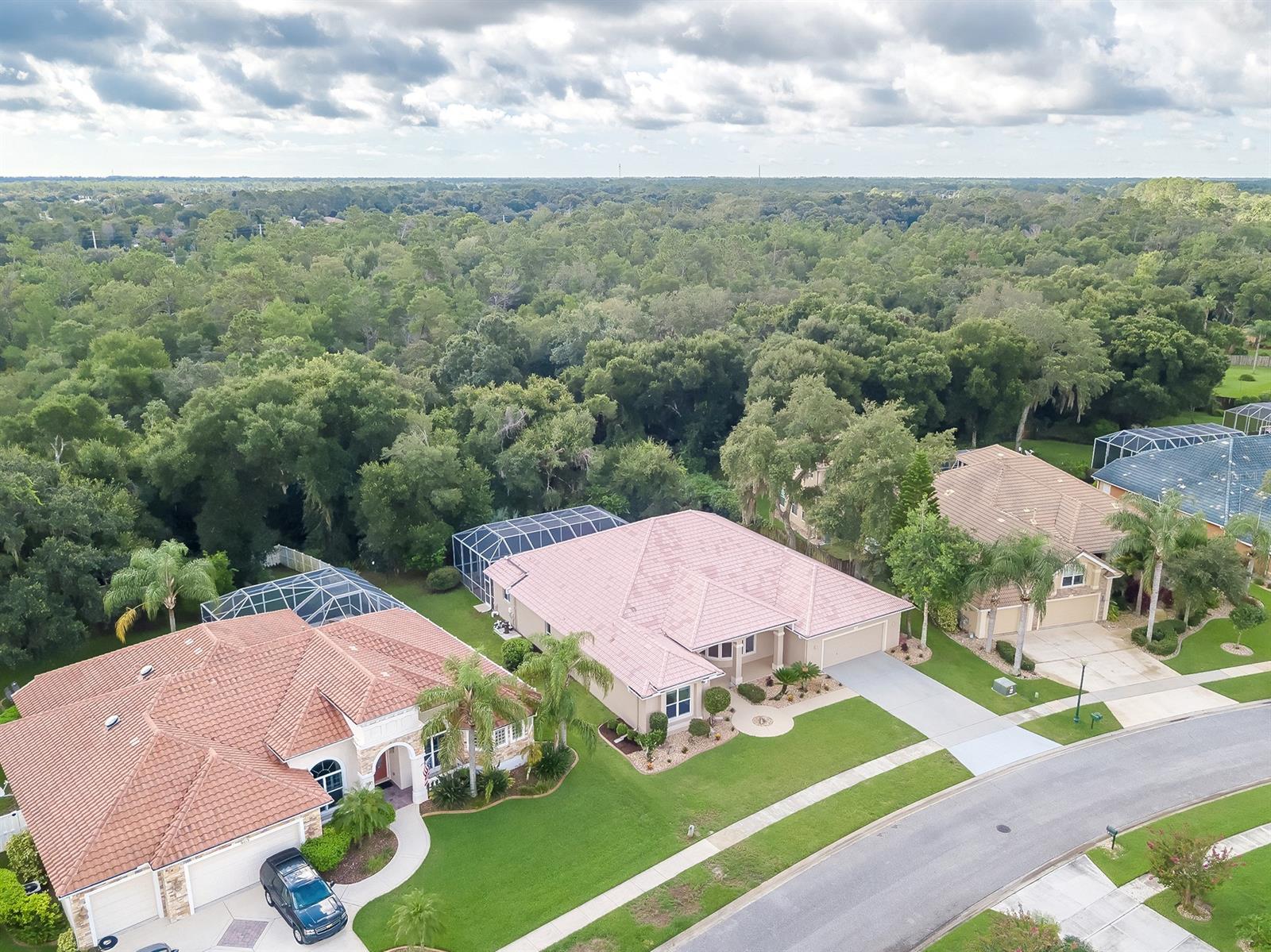Sanctuary At Spruce Creek Lts 01-97 - Residential