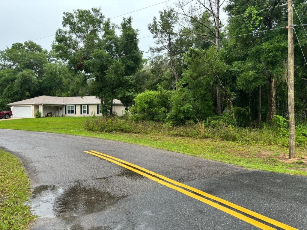 Photo of 1 Guava Pass Trail, Ocklawaha, FL 32179 (MLS # O6397618)