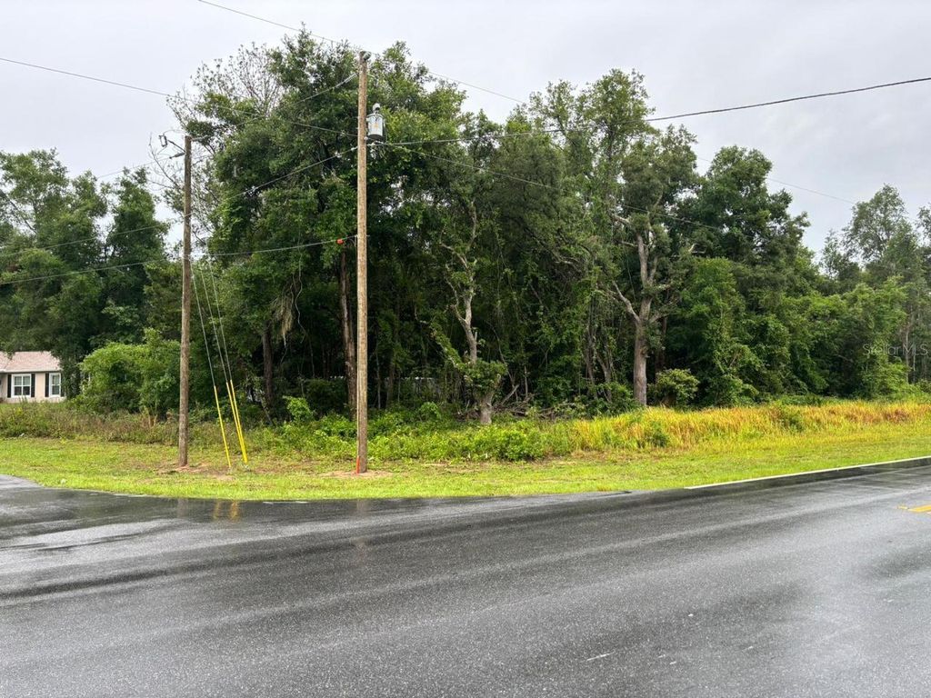 Photo of 1 Guava Pass Trail, Ocklawaha, FL 32179 (MLS # O6397618)