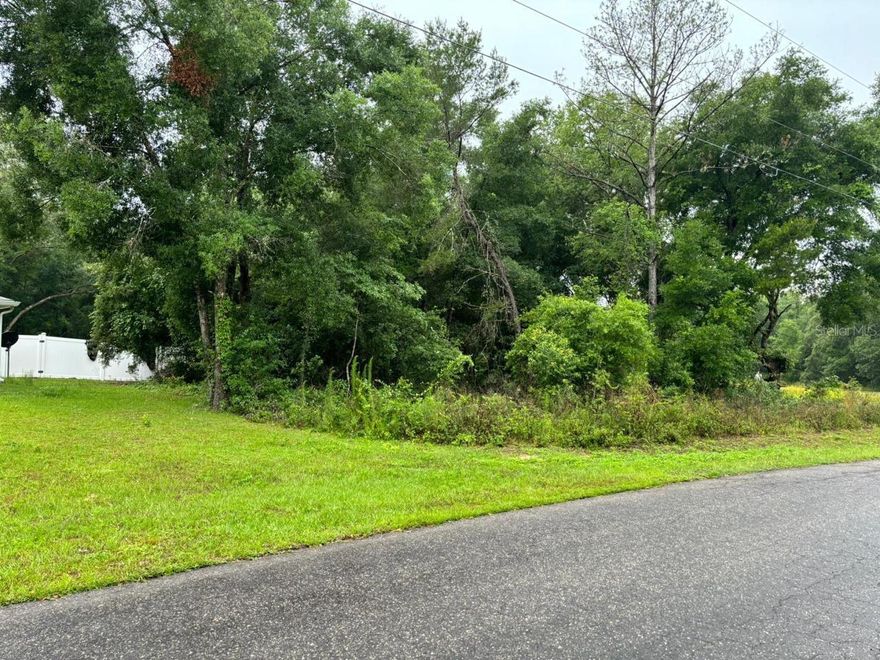 Quarter-acre R1 lot on Guava Pass Trail in Silver Springs Shores. No HOA, no CDD. Ideal for a 3-bed single-family home in an area where new construction starts at $250K+. Well + septic. Ocala National Forest and Lake Weir minutes away. Build now or hold — demand is climbing.