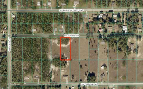 Photo of SW Beach Boulevard, Dunnellon, FL 34431 (MLS # C7526781)