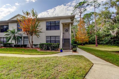 A home in PALM HARBOR