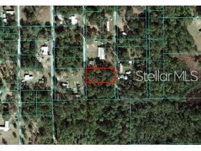 NE 141ST TER, FORT MC COY, FL 32134 - Image 4e71f7fdfeb5cc483d27de417e72374f/997495836
