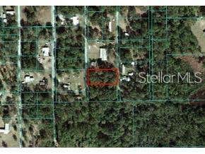 Photo of NE 141st Terrace, Fort Mccoy, FL 32134 (MLS # TB8541329)