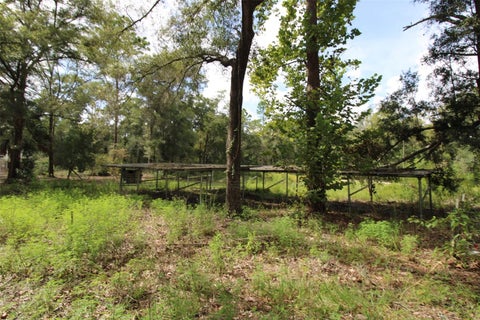 Tiny photo for 9599 NW 56th Lane, Chiefland, FL 32626 (MLS # TB8543659)