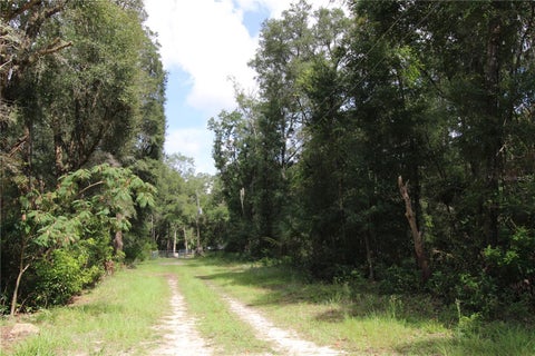 Tiny photo for 9599 NW 56th Lane, Chiefland, FL 32626 (MLS # TB8543659)