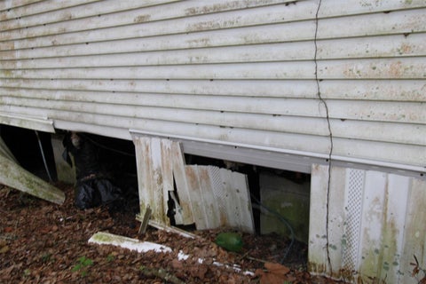 Tiny photo for 9599 NW 56th Lane, Chiefland, FL 32626 (MLS # TB8543659)