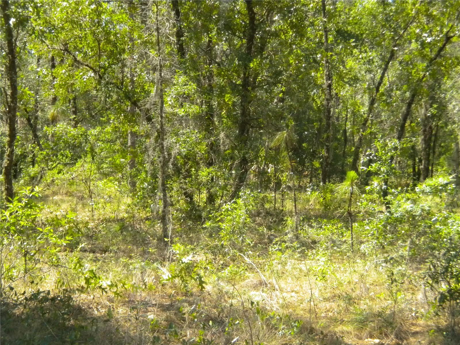 RAINBOW LAKES ESTATE - Land