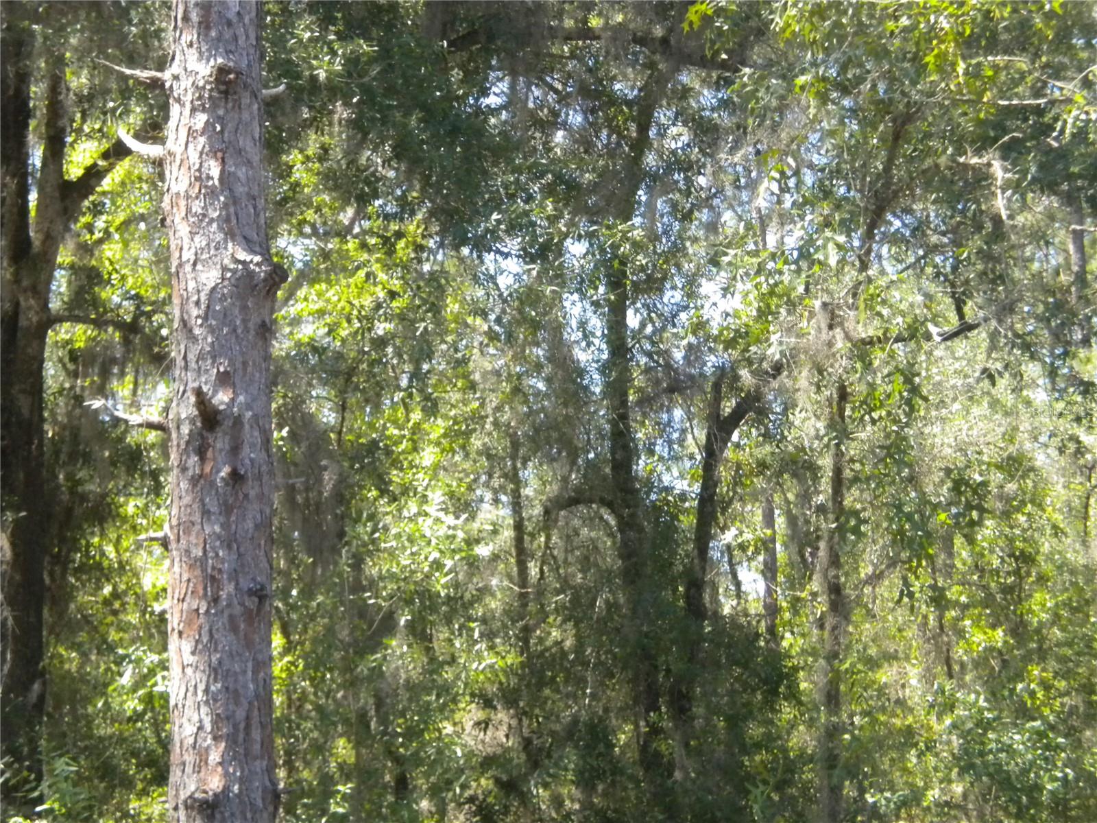 RAINBOW LAKES ESTATE - Land