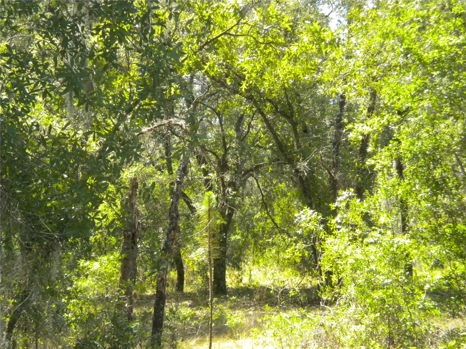 RAINBOW LAKES ESTATE - Land