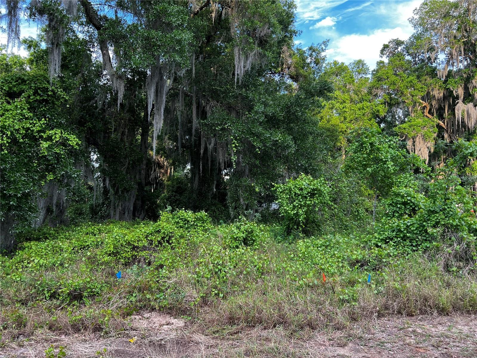 RIVERSIDE SUB - Land