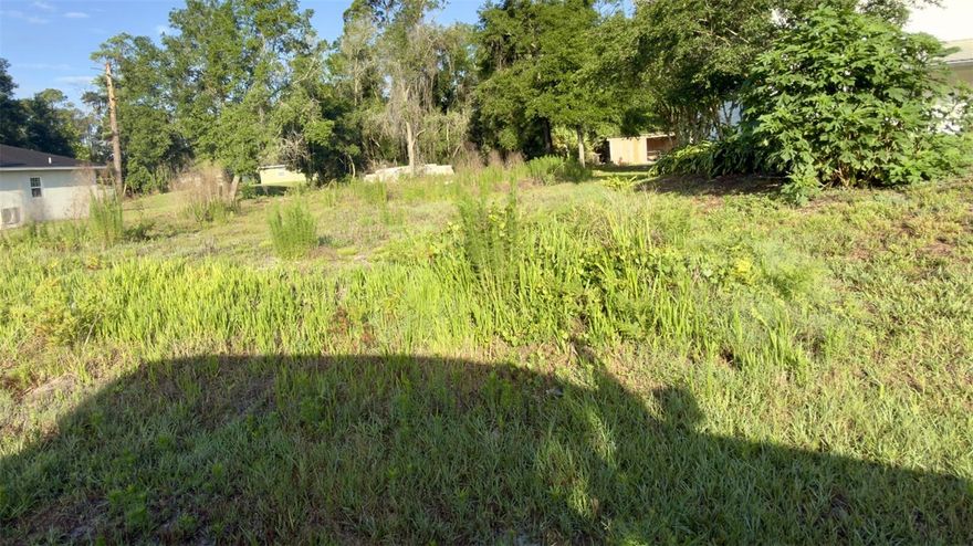 This is a fantastic opportunity to acquire a desirable residential lot in Daytona Park Estates, perfect for building your dream home or making an investment. Take advantage of this .26-acre parcel in the highly sought-after area of DeLand. Located in a well-established neighborhood with newer homes, this serene yet easily accessible spot provides an ideal blend of peace and convenience. With shopping, dining, and major roads just a short drive away, you'll enjoy the best of both worlds. The lot is clear and ready for construction, allowing you to choose your own builder and create the home you've always envisioned. Don’t let this opportunity slip away!