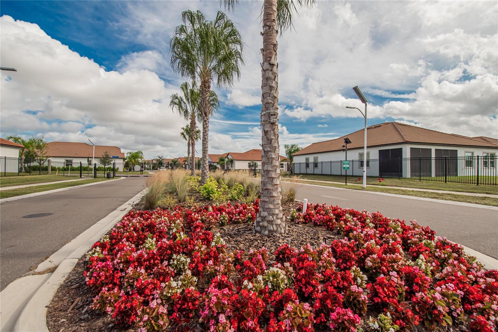 MEDLEY AT SOUTHSHORE BAY - Residential