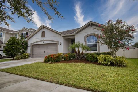 A home in RIVERVIEW