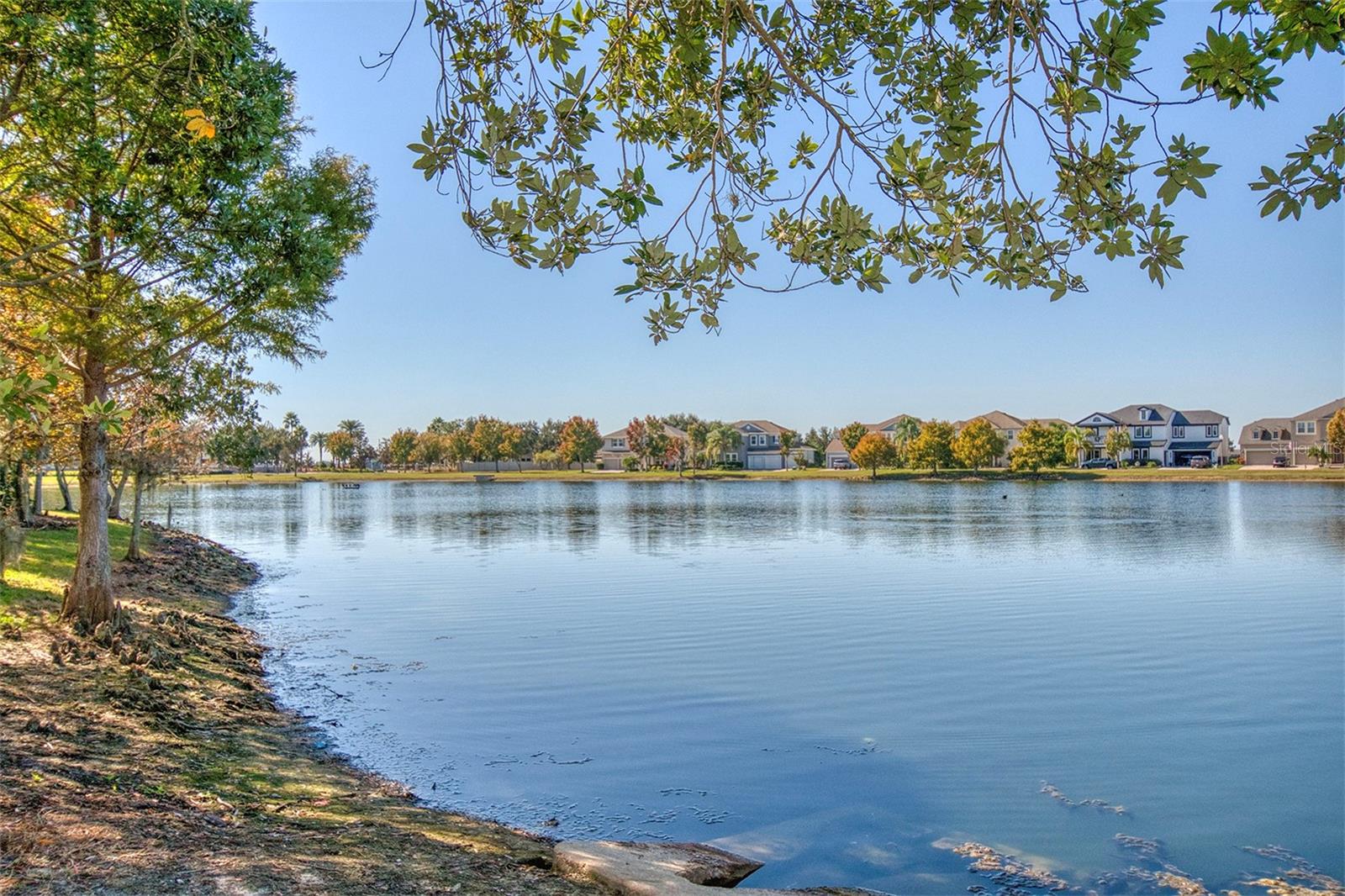 GROVELAND WATERSIDE POINTE PH 01 - Residential