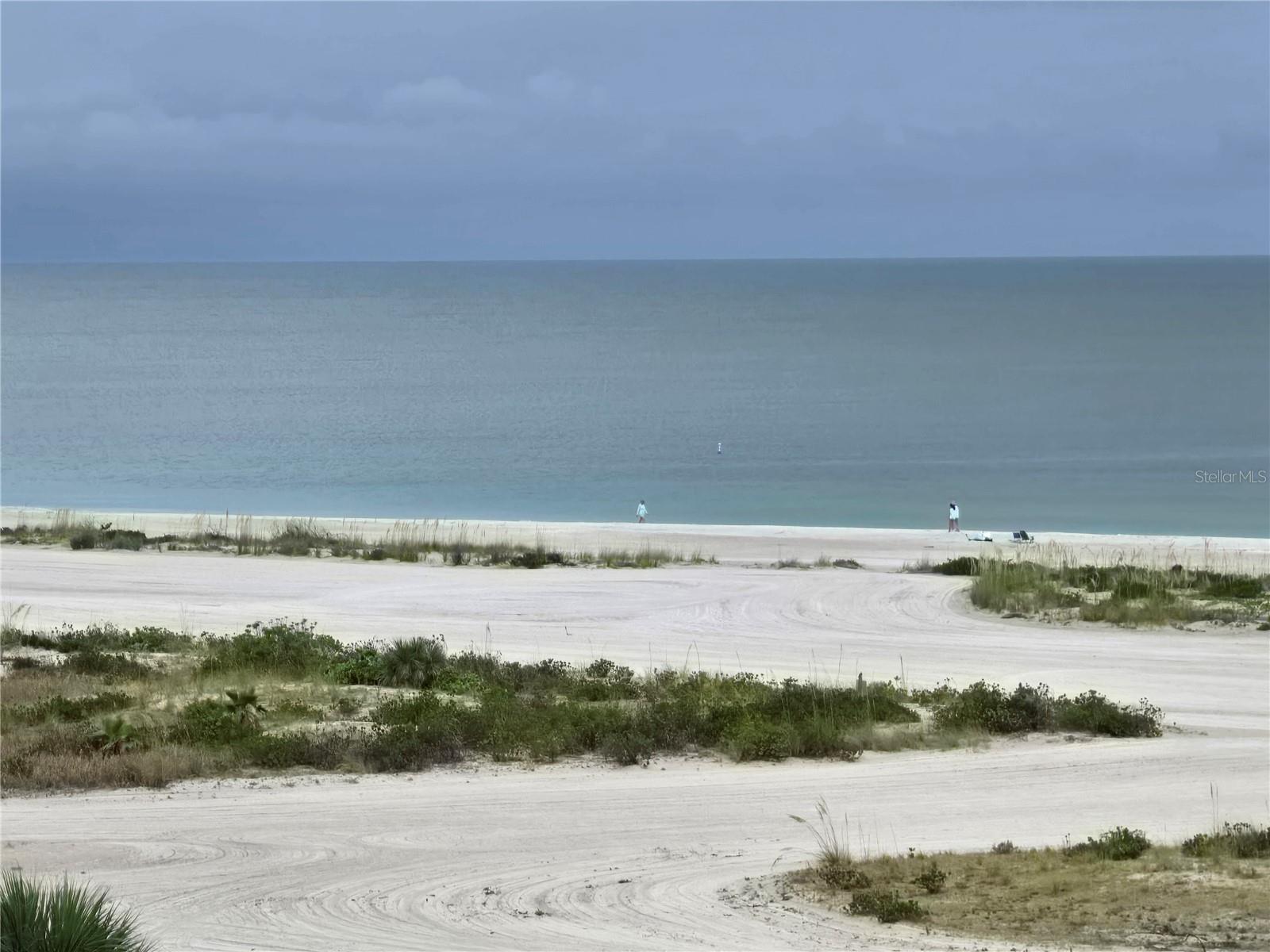 1230 GULF BOULEVARD 601